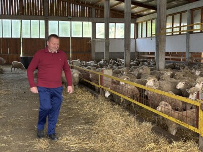 Bosanski inat Dragana Vukovića: Krenuo iz hobija, danas na farmi 1.000 grla stoke