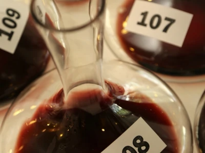 Dubrovnik FestiWine