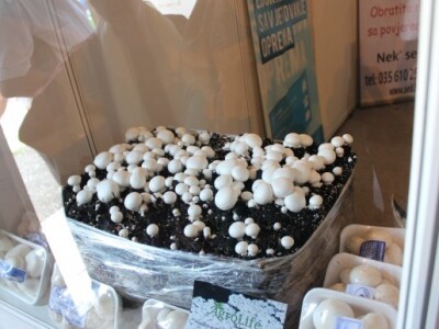 Gradačački sajam šljive 2015