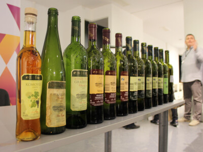 Vina Ivana Enjignija