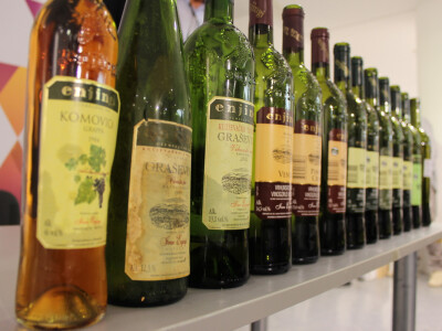 Vina Ivana Enjingija