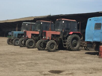 Černobil i poljoprivreda danas