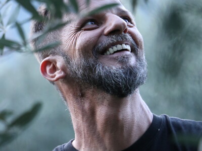 BERBA MASLINA U HERCEGOVINI