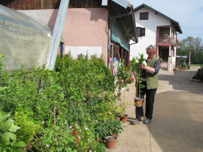 Milka pokazuje svoje proizvode