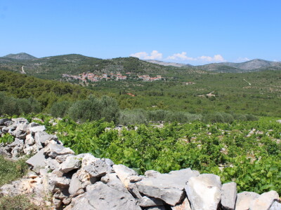 OPG Rade Županović Kruševo