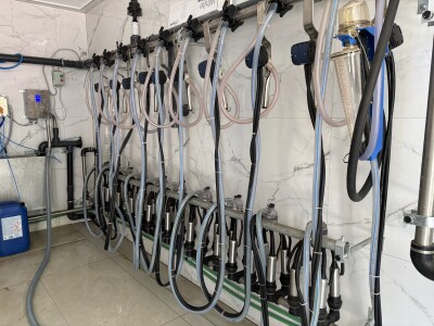 Bosanski inat Dragana Vukovića: Krenuo iz hobija, danas na farmi 1.000 grla stoke