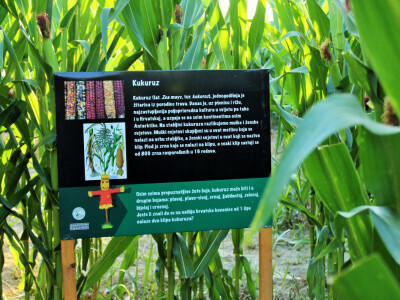 Kukuruzni labirint u rurlanom i šumskom ambijentu vraća djeci djetinjstvo, a odraslima mir