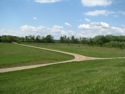 Idealno mjesto za novu šumu