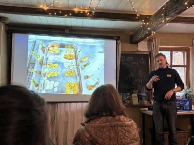 Sjeme kao zalog budućnosti