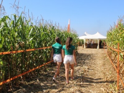 FarmShow se nastavlja!