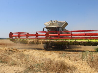 Claas Lexion 8900 demotour