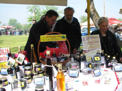 Gvozdenci na Zdravofestu Gvozdenci na Zdravofestu