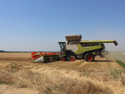 Claas Lexion 8900 demotour