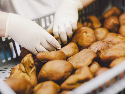 Dimljeni  proizvodi (sejtan) Dimljeni  proizvodi (sejtan)