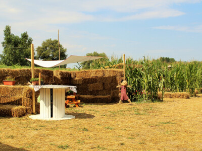 Kukuruzni labirint u rurlanom i šumskom ambijentu vraća djeci djetinjstvo, a odraslima mir