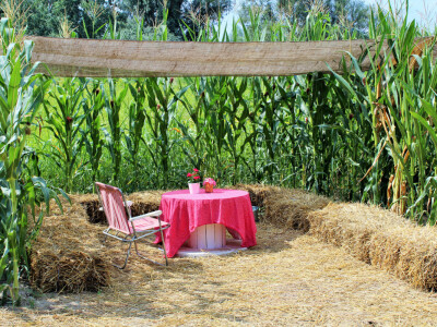 Kukuruzni labirint u rurlanom i šumskom ambijentu vraća djeci djetinjstvo, a odraslima mir