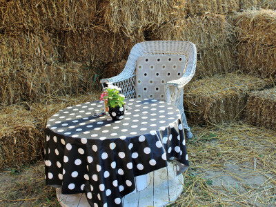 Kukuruzni labirint u rurlanom i šumskom ambijentu vraća djeci djetinjstvo, a odraslima mir