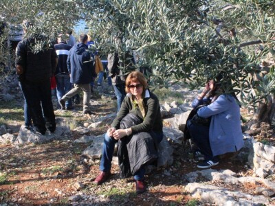 Odmaranje u masliniku