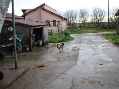 OPG Lenđel Podolje