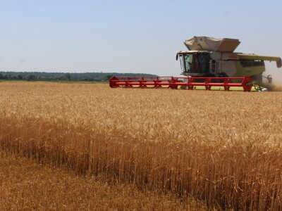 Claas Lexion 8900 demotour