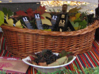 Srebrna medalja za kvalitet likera od aronije