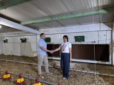 Kako izgleda farma s rashladnim saćem?