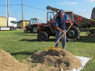 U petak grupa Petica i u subotu Begini U petak grupa Petica i u subotu Begini