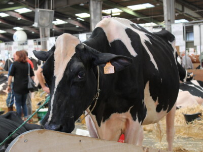 SPACE 2019 Rennes, Francuska