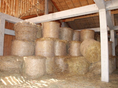 Bosanski inat Dragana Vukovića: Krenuo iz hobija, danas na farmi 1.000 grla stoke