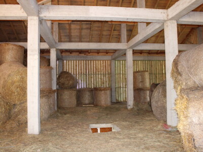 Bosanski inat Dragana Vukovića: Krenuo iz hobija, danas na farmi 1.000 grla stoke