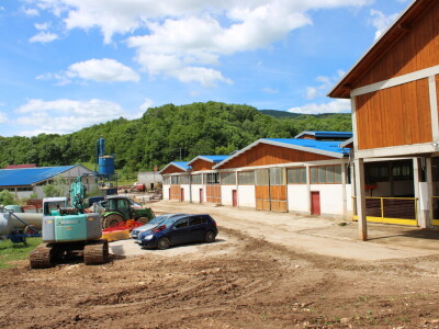 Bosanski inat Dragana Vukovića: Krenuo iz hobija, danas na farmi 1.000 grla stoke