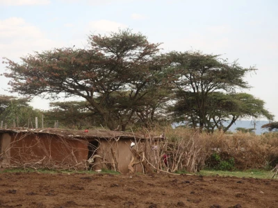 Maasai pleme