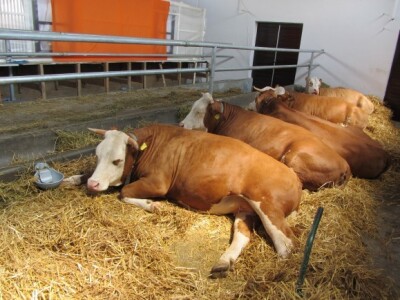 U susret 82. Poljoprivrednom sajmu