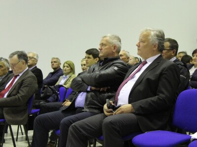 Kako do tisuću hektara pod maslinama u Hercegovini?