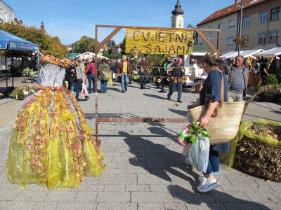 Šesti jesenski cvjetni sajam u Daruvaru