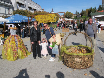 Šesti jesenski cvjetni sajam u Daruvaru