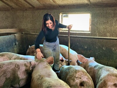 IRENA MAGLAJIĆ OPG MAGLAJIĆ