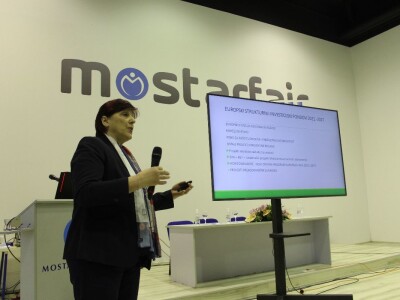 Kako do tisuću hektara pod maslinama u Hercegovini?