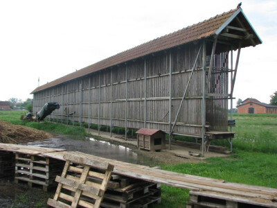 kukuruzana prima 70 tona