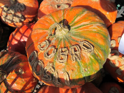 Šesti jesenski cvjetni sajam u Daruvaru