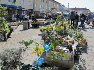 Šesti jesenski cvjetni sajam u Daruvaru