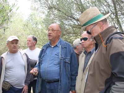 Dani masline - stručni izlet na Ugljan