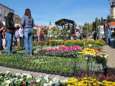 Šesti jesenski cvjetni sajam u Daruvaru