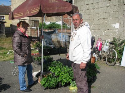 Dragoljub Savanović