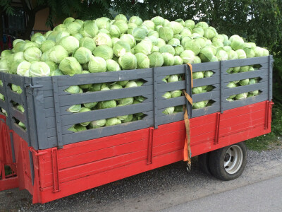 Poljoprivredna zadruga Ogulin