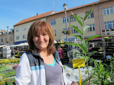 Šesti jesenski cvjetni sajam u Daruvaru