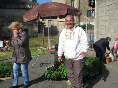 Dragoljub Savanović Kruška