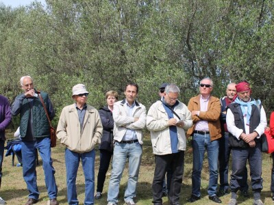 Dani masline - stručni izlet na Ugljan