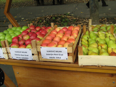 Jedan od izlagača je i Vuković Milan iz Novog Grada