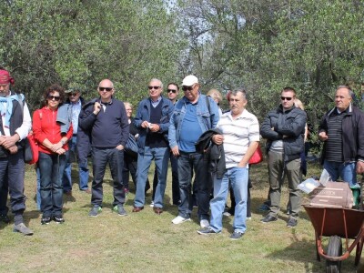 Dani masline - stručni izlet na Ugljan